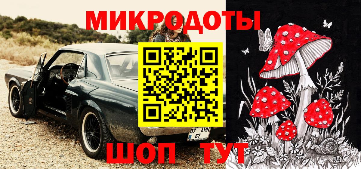 Псилоцибиновые грибы Psilocybine cubensis  Вход с VPN  Ковров 